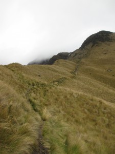 Aussicht auf den Wanderpfad - grüne Linie die in Richtung der Felsen läuft