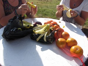 4 Mangos, 13 Mandarinen und 1kg Bananen - genug für 5 Personen und alles war am Ende weg