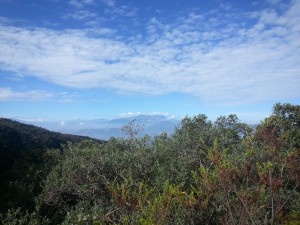 20151024_082723